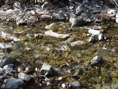 20190121hike (219)